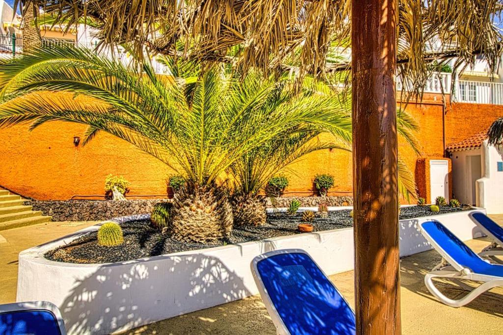 Sand Club Apart Free Wifi San Miguel de Abona Ngoại thất bức ảnh